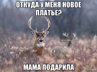 ОТКУДА У МЕНЯ НОВОЕ ПЛАТЬЕ? МАМА ПОДАРИЛА