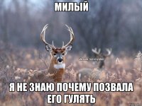 Милый я не знаю почему позвала его гулять