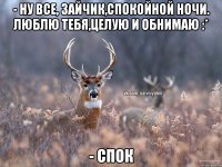 - Ну все, зайчик,спокойной ночи. Люблю тебя,целую и обнимаю :* - Спок