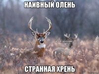 НАИВНЫЙ ОЛЕНЬ СТРАННАЯ ХРЕНЬ