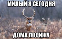 Милый я сегодня дома посижу