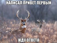 Написал привет первый жду ответа