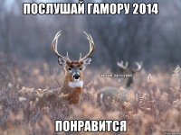 послушай гамору 2014 понравится