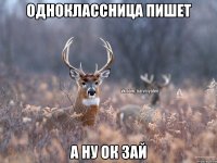 Одноклассница пишет А ну ок зай