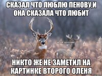 Сказал что люблю Пенову,и она сказала что любит никто же не заметил на картинке второго Оленя