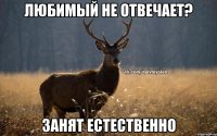 Любимый не отвечает? Занят естественно