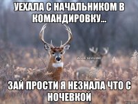 Уехала с начальником в командировку... Зай прости я незнала что с ночевкой