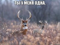 Ты у меня Одна. 