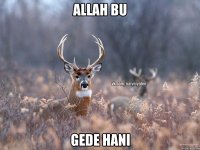 Allah bu Gede hani