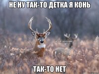 не ну так-то детка я конь так-то нет