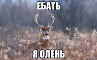 Ебать Я олень