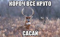 Короч всё круто САСАЙ