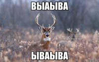 выаыва ываыва