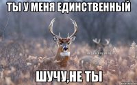 Ты у меня единственный Шучу,не ты