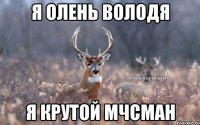 Я Олень Володя я крутой МЧСман