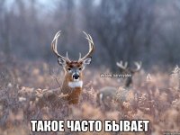  Такое часто бывает