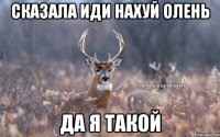 сказала иди нахуй олень да я такой