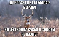 дорогая где ты была? бегала! но футболка сухая и совсем не пахнет