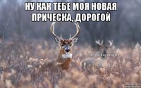 ну как тебе моя новая прическа, дорогой 