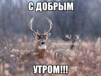 С Добрым Утром!!!