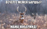 Вечерге мемен баршы? Мама жибермид!