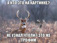 А кто это на картинке? не узнал чтоли? это же Трофим