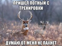 Пришел потный с тренировки Думаю от меня не пахнет