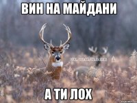 Вин на майдани А ти лох