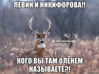 левин и никифорова!! кого вы там оленем называете?!