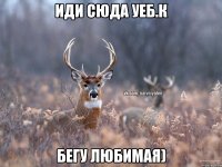 Иди сюда уеб.к Бегу любимая)