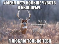 У меня нету больше чувств к бывшему , я люблю только тебя