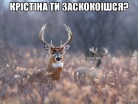 Крістіна ти заскокоїшся? 