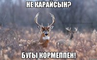 Не карайсын? Бугы кормеппен!