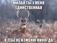 милая,ты у меня единственная я тебе не изменю никогда