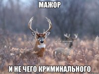 мажор и не чего криминального