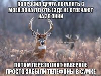 попросил друга погулять с моей,пока я в отъезде.не отвечают на звонки потом перезвонят.наверное просто забыли телефоны в сумке