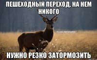 Пешеходный переход, на нем никого нужно резко затормозить