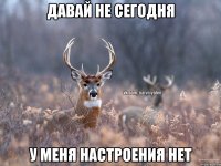 давай не сегодня у меня настроения нет