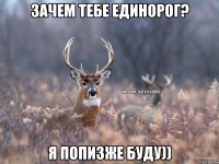 Зачем тебе единорог? Я попизже буду))