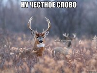 ну честное слово 