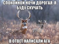 Спокойной ночи дорогая, я буду скучать В ответ написали АГА