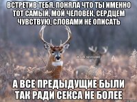 Встретив тебя, поняла что ты именно тот самый, мой человек, сердцем чувствую, словами не описать а все предыдущие были так ради секса не более