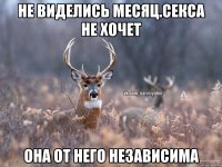 Не виделись месяц.Секса не хочет она от него независима