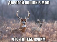 Дорогой,пошли в мол что-то тебе купим