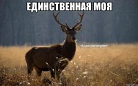 единственная моя 