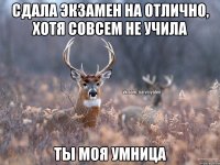 СДАЛА ЭКЗАМЕН НА ОТЛИЧНО, ХОТЯ СОВСЕМ НЕ УЧИЛА ТЫ МОЯ УМНИЦА