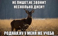 Не пишет,не звонит несколько дней!! Родная,ну у меня же учеба