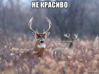 не красиво 