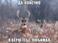 да, конечно я верю тебе, любимая