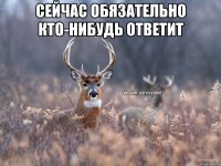 Сейчас обязательно кто-нибудь ответит 